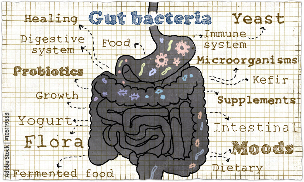 Leaky gut