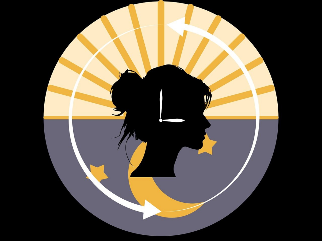 biorhythm, clock, sleep, awake, energy cycle, timer, circadian, body, human, chronobiology, inner clock, day, night